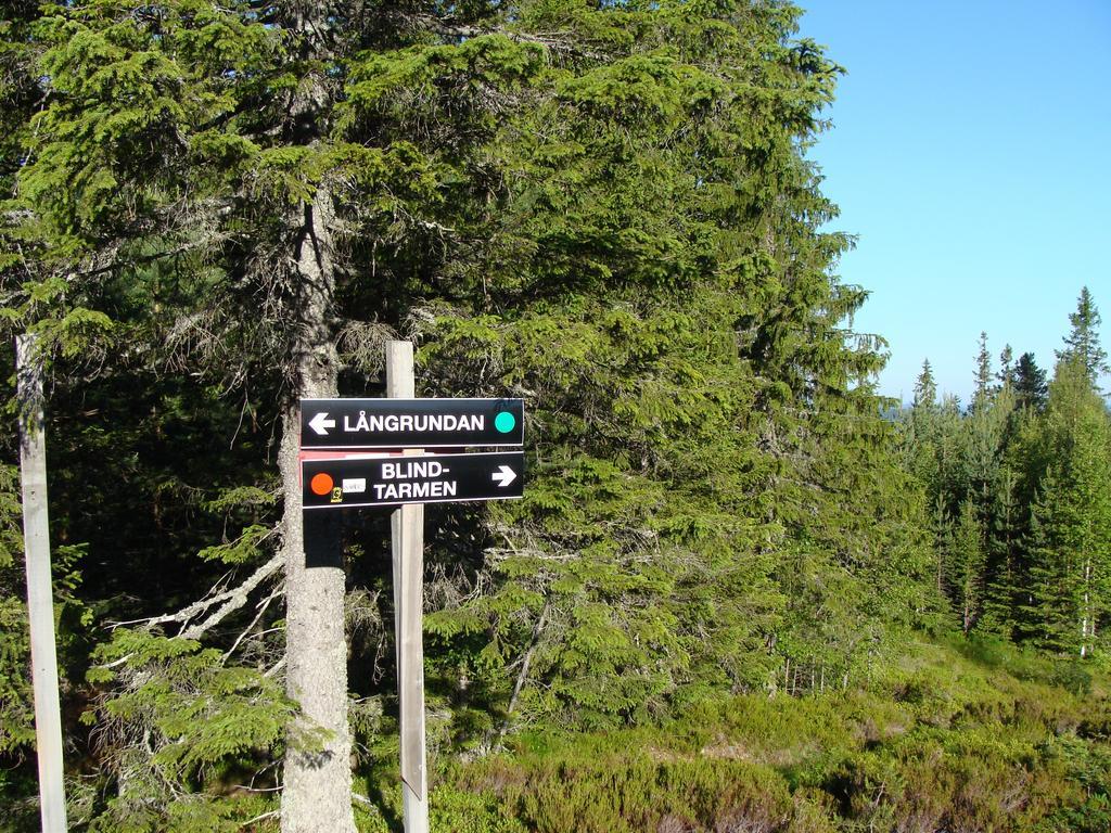 Tomtelandstugan Mora Exteriér fotografie
